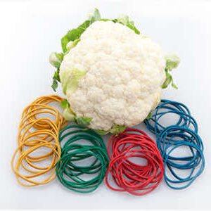 uv-cauliflower-rubber-bands-300538