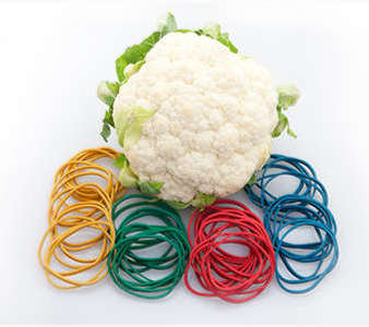 uv-cauliflower-rubber-bands-300538